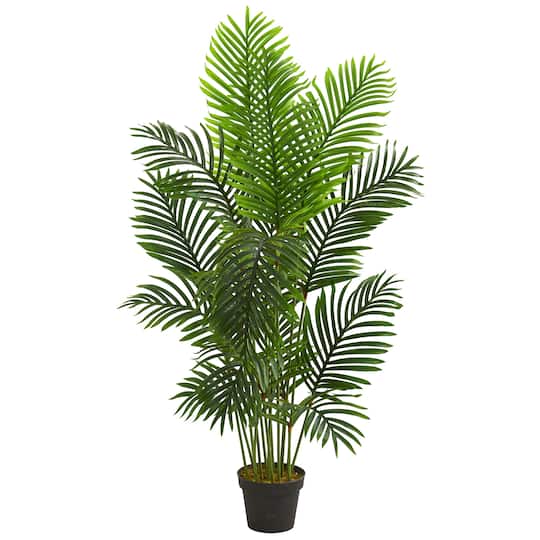 5ft. Potted Paradise Palm Tree